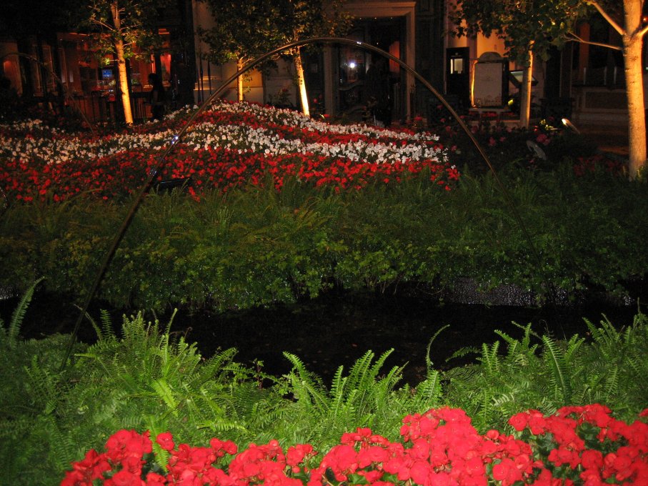 Conservatory & Botanical Gardens